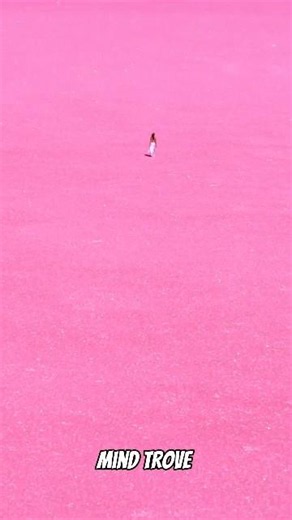 Real Life Pink Lake in Australia 🇦🇺😳#australia