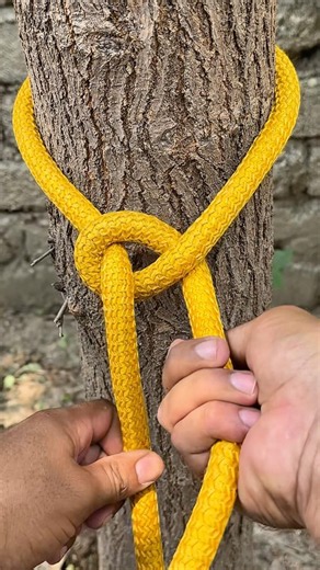 The King Of Knots!