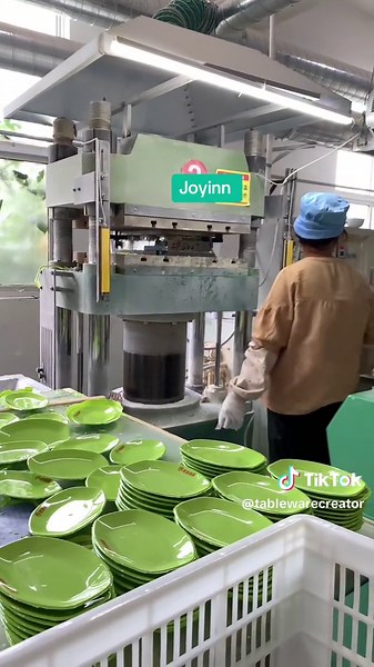 Joyinn Life on TikTok