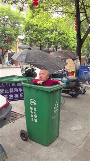 Who did it, come out and show yourself! #Funny #Unbelievable #Cure the Sadness