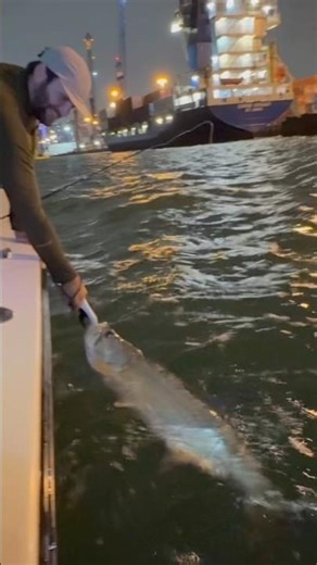 Tom with his Miami Tarpon fishing #miamitarpon