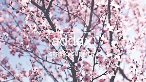 4.1K views · 51 reactions | Spring / Summer - 2016 Yepyeni ürünler için; www.addax.com.tr | addax | Facebook