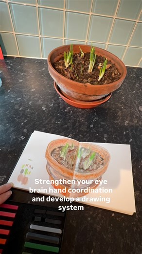 Most people stop at “drawing what they see.” But the real shift, the one that changes everything happens when you start drawing what the world is doing. When you sketch something living, like these Paperwhite narcissus bulbs, you’re not just observing shapes. You’re observing direction, growth, tension, rhythm, and the quiet intelligence of nature unfolding. This is the stage beyond seeing. The stage where drawing becomes interpretation, not imitation. And here’s the beautiful part: you don’t ne