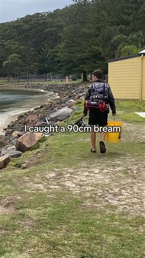 Australia New Zealand fishing community page on Instagram: "Biggest bream in the Southern Hemisphere? 😎🎣 Yeah… I said what I said. Credit: fishquest.Aus #fishingaustralia #nzfishing #breamfishing #funnyfishing #anglerlife"