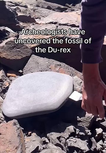 Strange Fossil Discovery Explained
