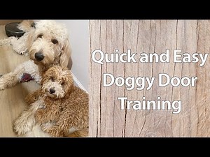 Dog Training: Teaching how to use a Doggie Door