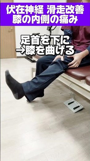 【内側のつっぱり改善】伏在神経の動きをスムーズにして半腱様筋・半膜様筋の硬さを取るエクササイズ #ハムストリングス #ストレッチ #股関節