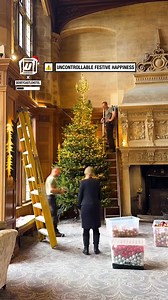 196K views · 1.3K reactions | I wish this was my Christmas tree 勞 | UNILAD | Facebook