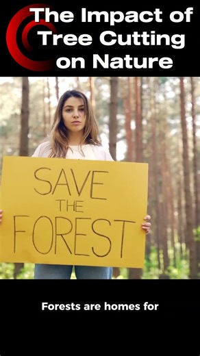 Effects of Cutting Trees 🌳 | How Nature Is Affected | MY World Nature