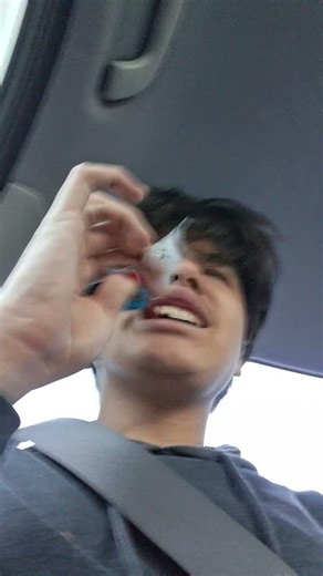 trying Mr. Beast original mini sticks