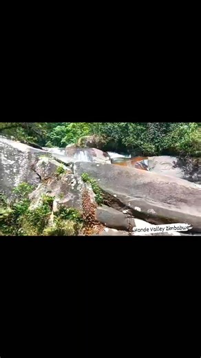 Crystal-clear waters flowing through Nyawamba River — nature at its purest. #NyawambaRiver #ZimbabweNature #HondeValleyZimbabwe #VisitHondeValley | Honde Valley Zimbabwe