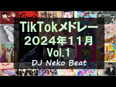 【TikTokメドレー】2024年11月にSNSで流行した最新ヒット曲 Vol.1【JPOPメドレー】