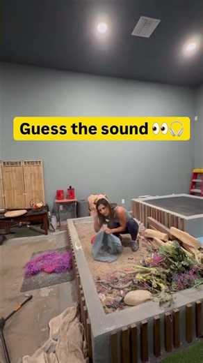 Can You Guess This Sound? 🎧 Foley Artist Edition