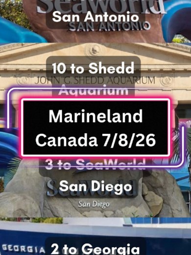 Things are looking up for the Marineland Canada belugas! There is currently no new updates on the Marineland Antibes Orcas. #beluga #marineland #seaworld