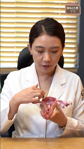 A Quick Guide to Female Reproductive Anatomy and Functions! #FemaleReproductiveSystem #SexEd #shorts