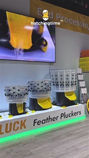 Hatching Time Poultry Supplies Store in Delaware