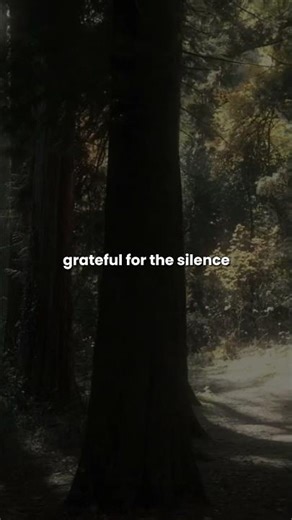 Gratitude for Peace 🌙 | Calming 30-Second Affirmation | #shorts