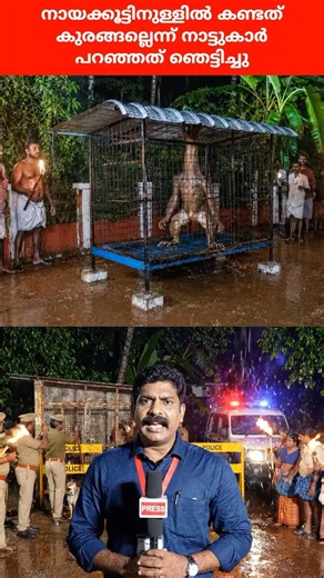 ഈ വീഡിയോ AI ഉപയോഗിച്ച് സൃഷ്ടിച്ചത്. ഇത് നടന്ന സംഭവം അല്ല ഭാവന സൃഷ്ട്ടി മാത്രം