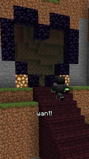 Custom portals in Minecraft!