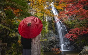 Minoh Park: Osaka’s Own Quasi-National Park