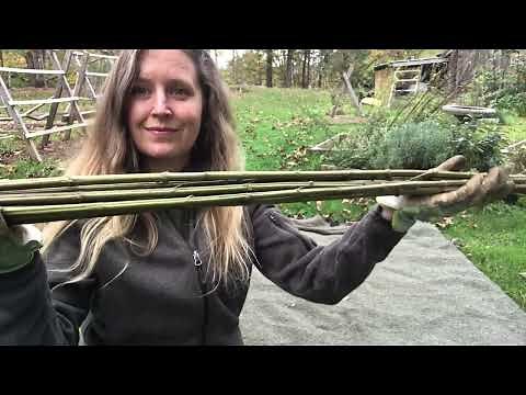How to make Cordage out of Nettle