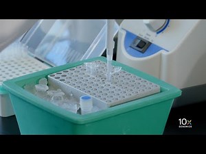 Single Cell Fixed RNA Profiling | Prepare GEM Master Mix and Sample Dilution