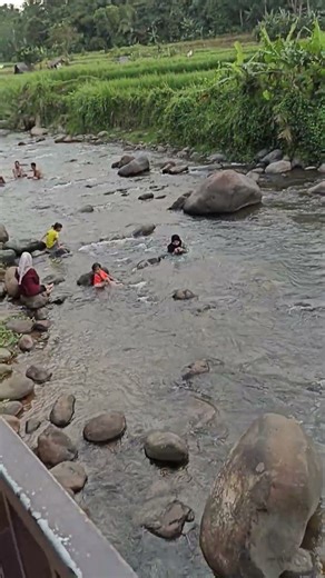 alam pedesaan sungai mengalir dengan airnya jernih#fypシ