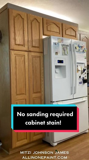 Transform Your Kitchen with No Sanding Cabinet Stain | DIY Makeover Guide