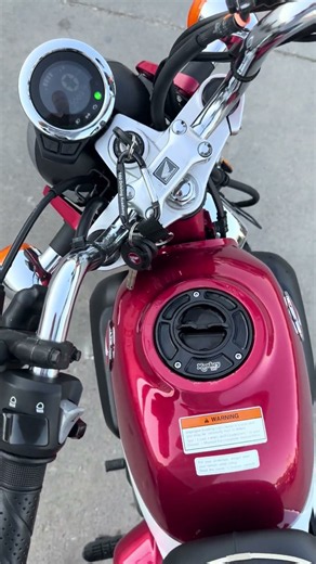 2019 Honda Monkey Z125, 3009 miles, September 5th