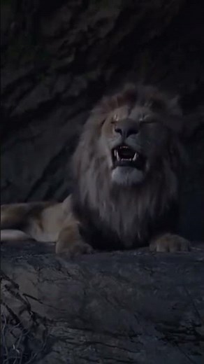 Unveiling Simba's Untold Story: A Legendary Disney Character Revealed