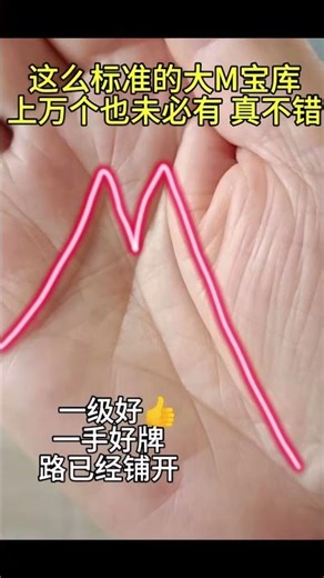 這麼大的m紋，大寶庫！