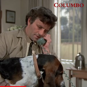 Man's best friend - most of the time. Whether sharing an ice-cream or cruising for criminals, Columbo's dog is the perfect companion. | Columbo