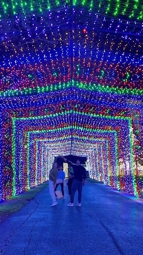 3.6K views · 38 reactions | Space Center Houston’s out of this world light display returns this weekend. Galaxy Lights opens on Saturday, November 16, with a gravity-defying space-themed holiday light display!✨⁠ https://bit.ly/xmas-houston @instagram.com/itsmelinavega | Secret Houston | Facebook
