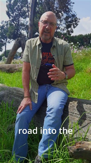 Seeds of War: Wild Cosmos Flowers 🌸 #nature #cosmosflowers #flowers