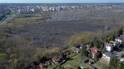 Płonął trawy w Lublinie. Na miejscu 7 zastępów strażaków