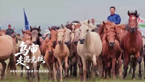 跟着非遗游内蒙古丨鄂尔多斯：努力构建非遗创新生态圈