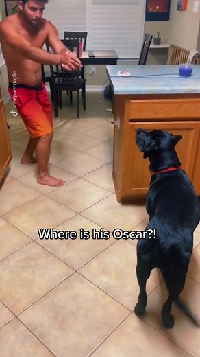 10/10 acting. Beautiful scene. #foryou #foryoupage #dog #dogsoftiktok #gofetch