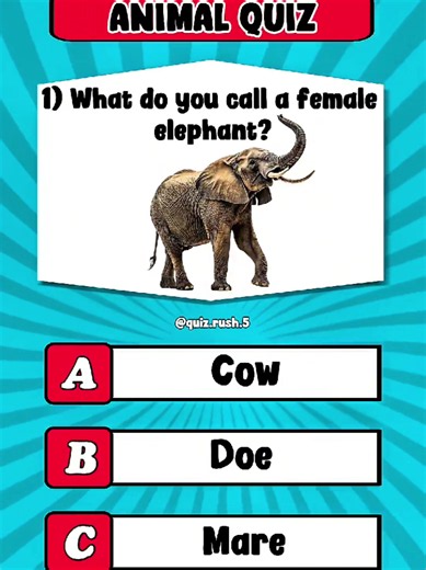 Challenge Your Knowledge: Can You Name These Animals?