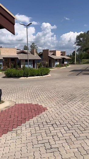 Beautiful Residential Driveway with Lush Greenery