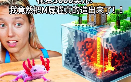 花费3000美元！我竟然把Minecraft真的造出来了！