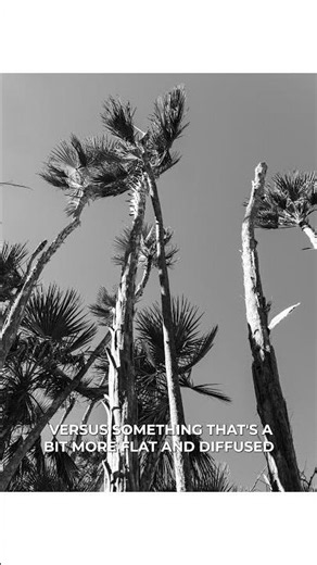 Harsh lighting? Better contrast in your black & white photos