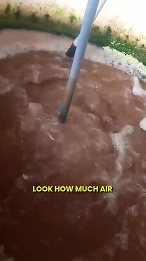 Aquarium Co-Op on TikTok