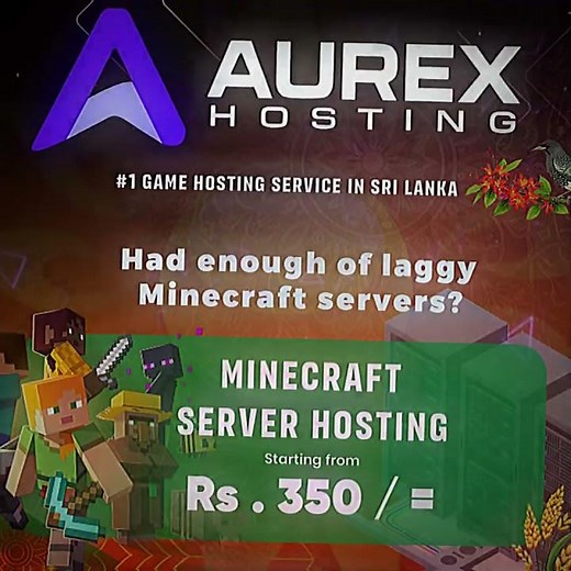 Best Minecraft Hosting in the World #aurex #aurexlk ​EDIT!