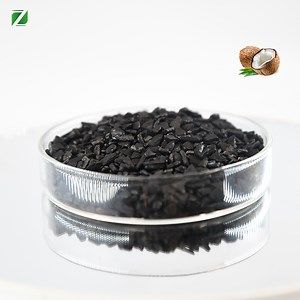 [Hot Item] Ctc60 Coconut Shell Activated Carbon