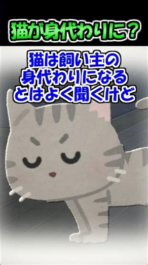【2ch】猫が病気の母の身代わりに？【アニマル】 #Shorts