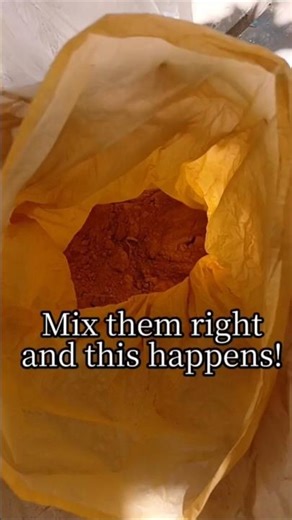 DIY Natural Wood Filler | Mix Them Right — And This Happens! #asmr #shorts