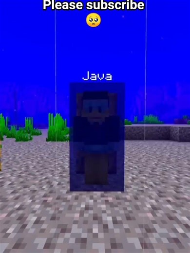 Minecraft Java & Bedrock Edition Water Door Tutorial 🌊🚪 | Secret Underwater Door Build 🔥