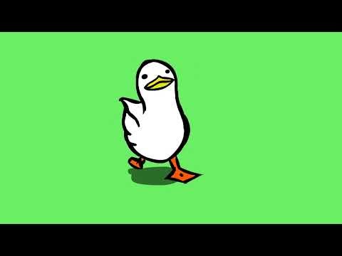 Walking Duck Animation green screen