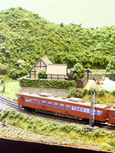 農家のかたわらを走り抜ける #nゲージレイアウト #nゲージ鉄道模型 #四国山岳保存鉄道