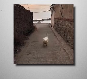 15K views | Mixcloud Pro+ on Reels | Facebook